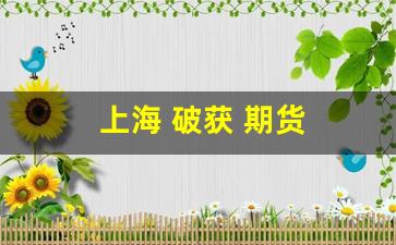 上海 破获 期货(上海警方破获境外期货案)_https://www.gfdzclz.com_创业板_第1张